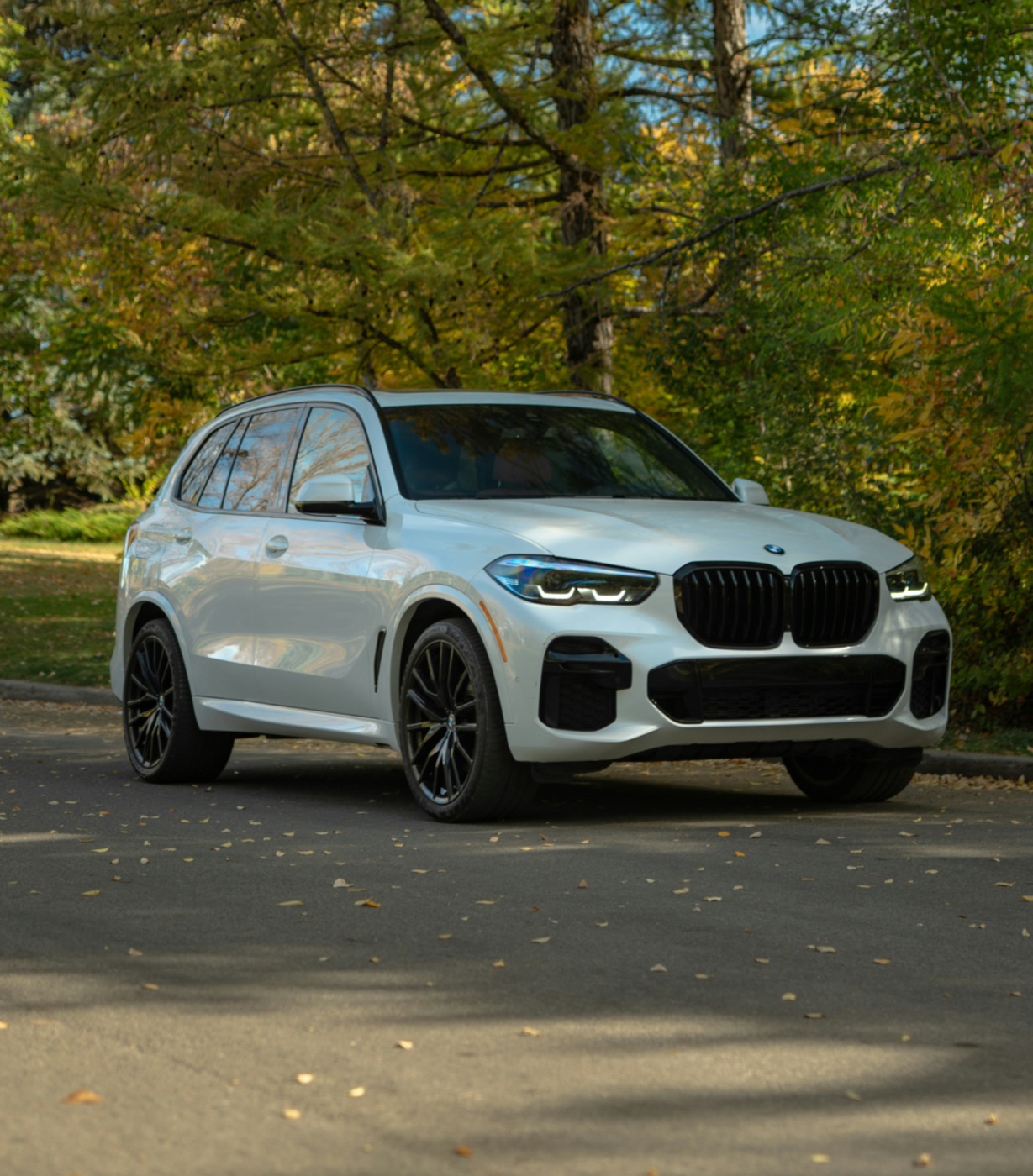White BMW X5 family SUV